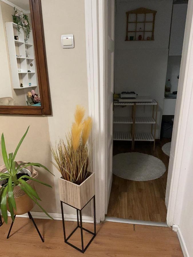 Ultracentral Studio Cherry Piata Amzei Apartment